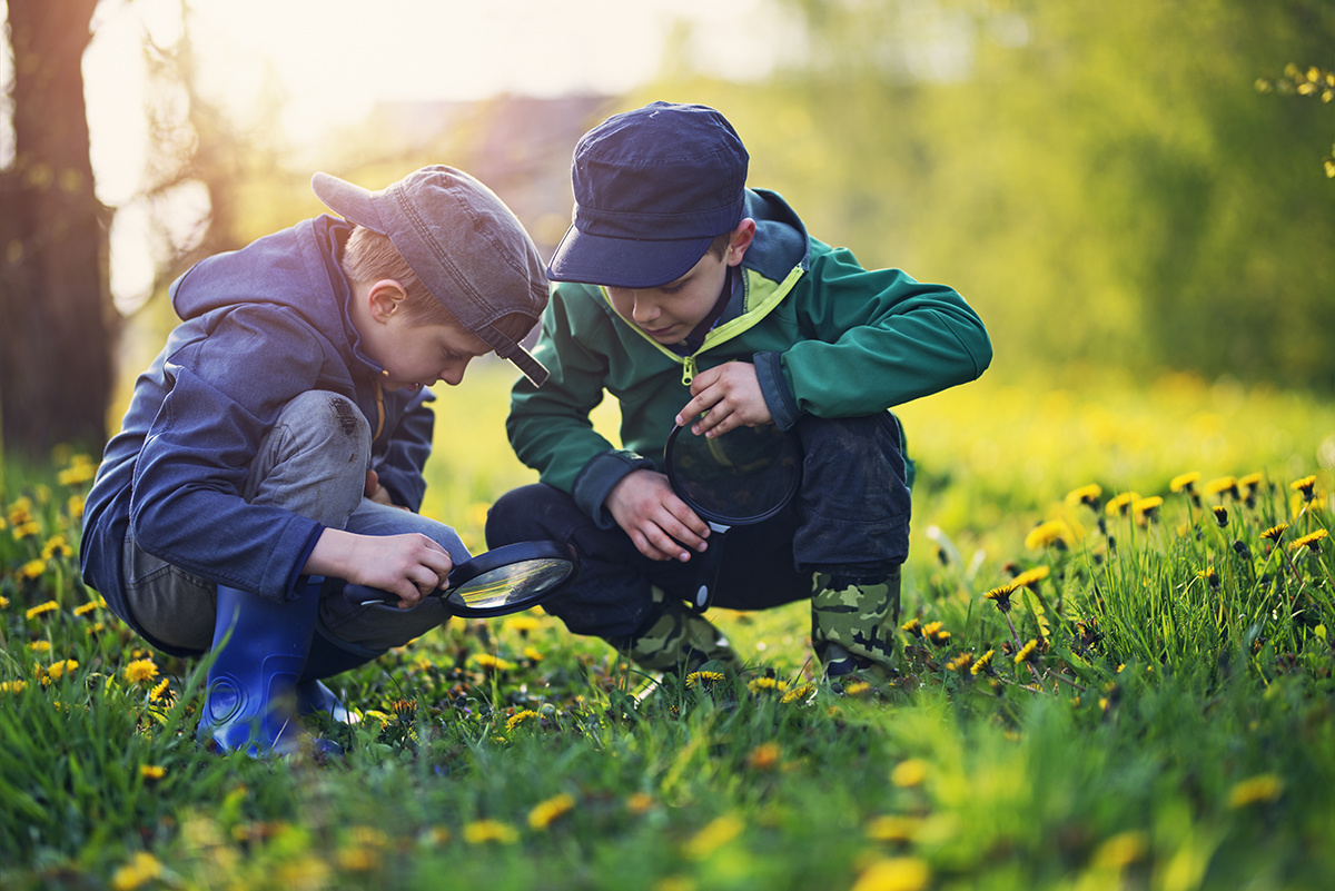 Little boys observing bugs in spring grass