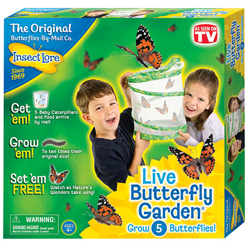 Live Butterfly Garden