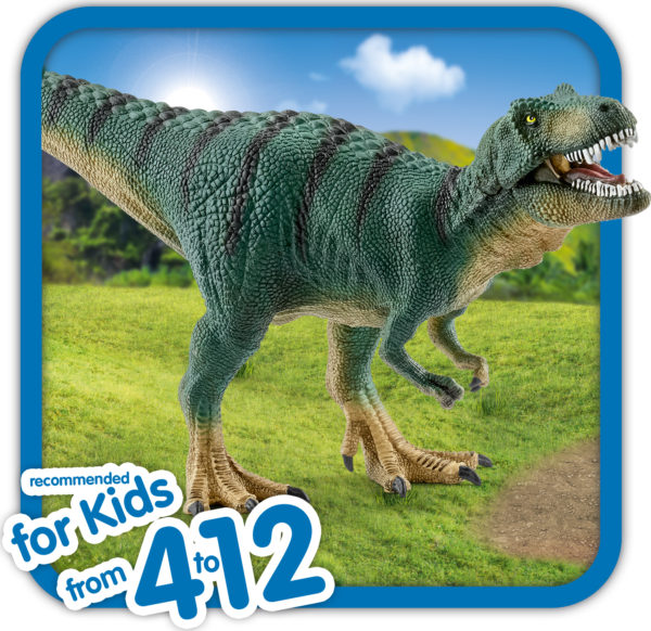 Tyrannosaurus Rex Juvenile